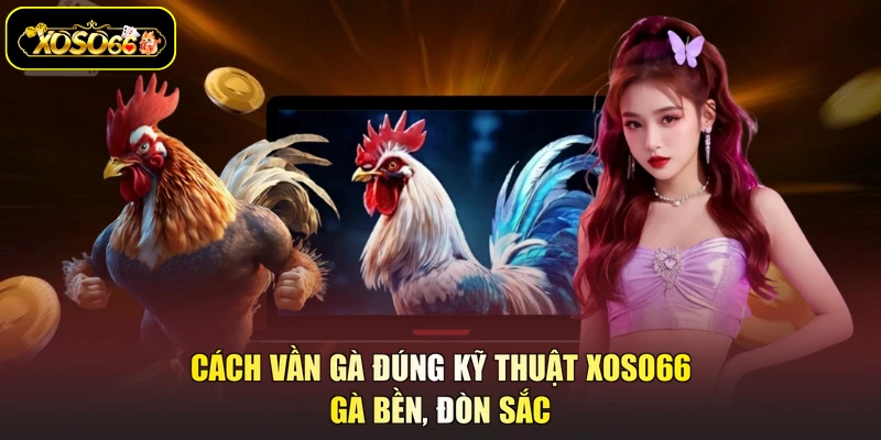 cách vần gà đúng kỹ thuật