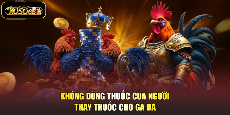 Không dùng thuốc của người thay thuốc cho gà đá