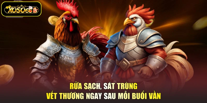 Rửa sạch, sát trùng vết thương ngay sau mỗi buổi vần