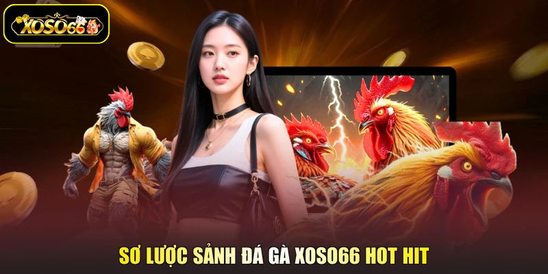 Sơ lược sảnh đá gà XOSO66 hot hit