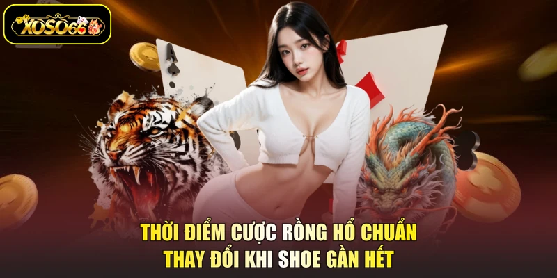Thời điểm cược rồng hổ chuẩn thay đổi khi shoe gần hết