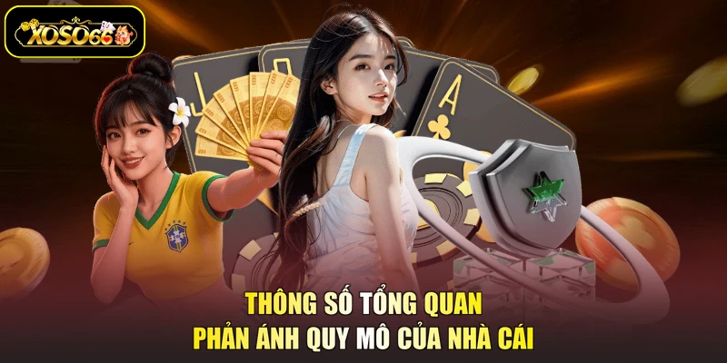 Thông số tổng quan phản ánh quy mô của nhà cái